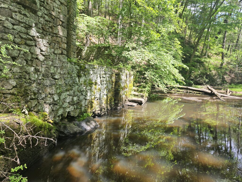 Hiking the Elizabeth D. Kay Environmental Center to Waterfalls and Ruins 11