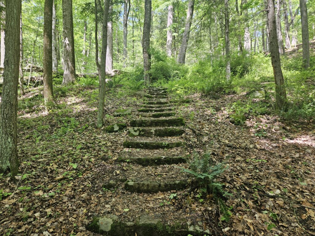 A set of stone steps leading to ruins at the Kay Center