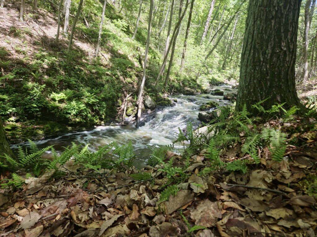 A small waterfall at the Kay Center
