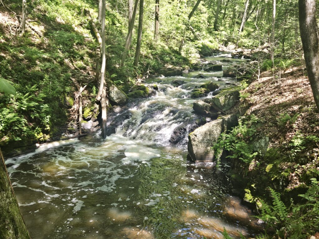 A small waterfall at the Kay Center