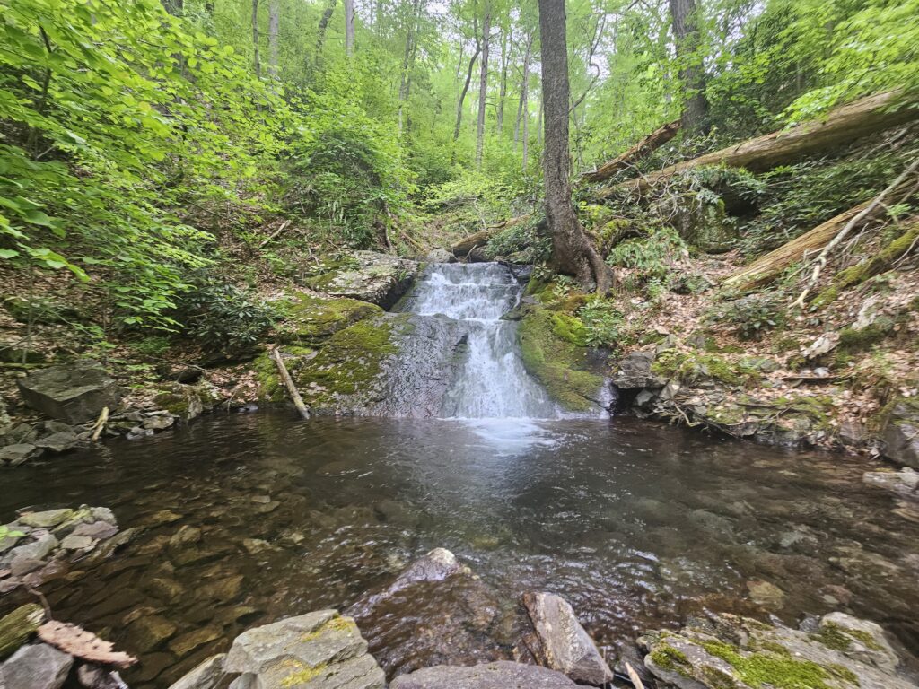 Lower Coppermine Falls 5
