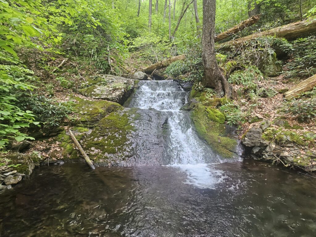 Lower Coppermine Falls 1