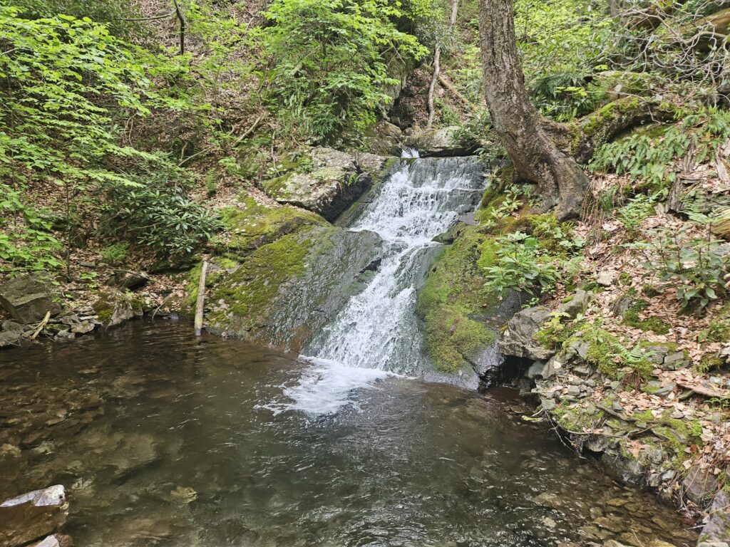 Lower Coppermine Falls 3