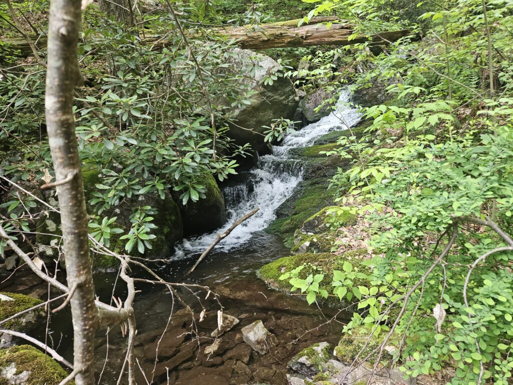 Lower Coppermine Falls Cascade 3