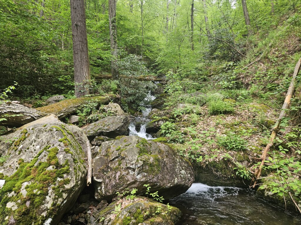 Lower Coppermine Falls Cascade 1