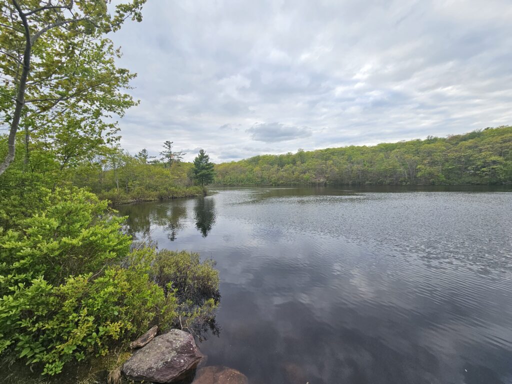 Surprise Lake in Abram S. Hewitt State Forest
