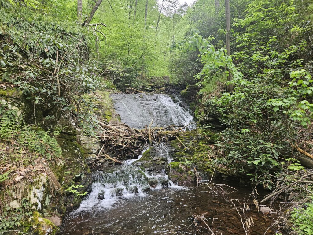 Unnamed Waterfall on Coppermine Brook 1 1