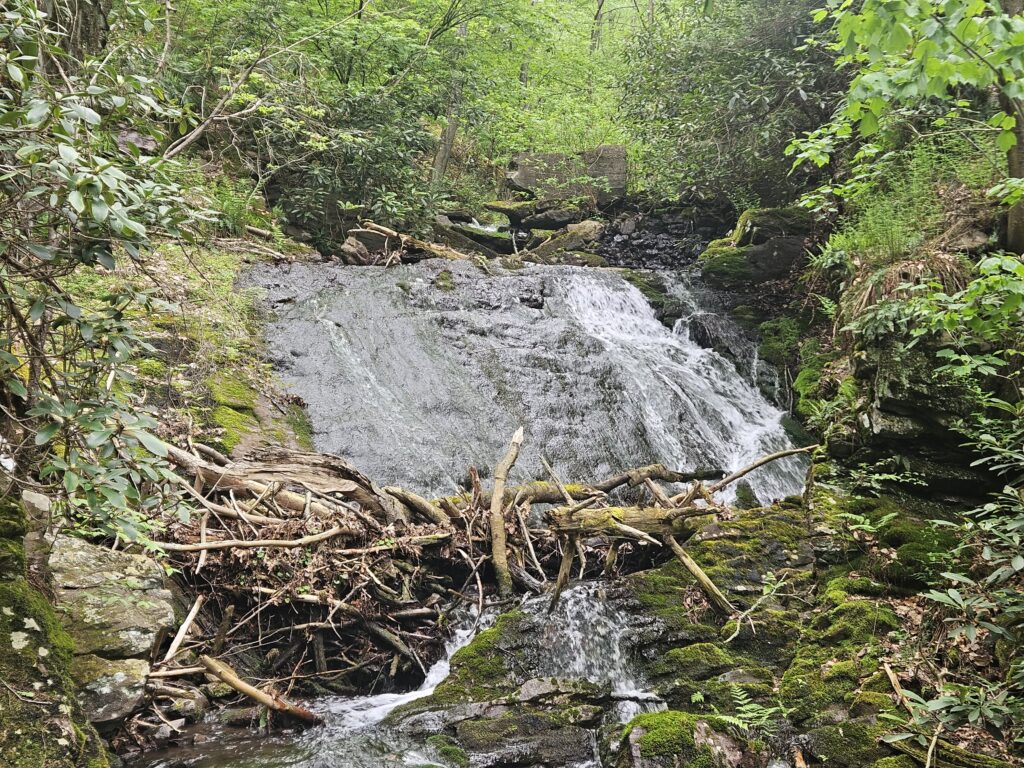 Unnamed Waterfall on Coppermine Brook 1 3