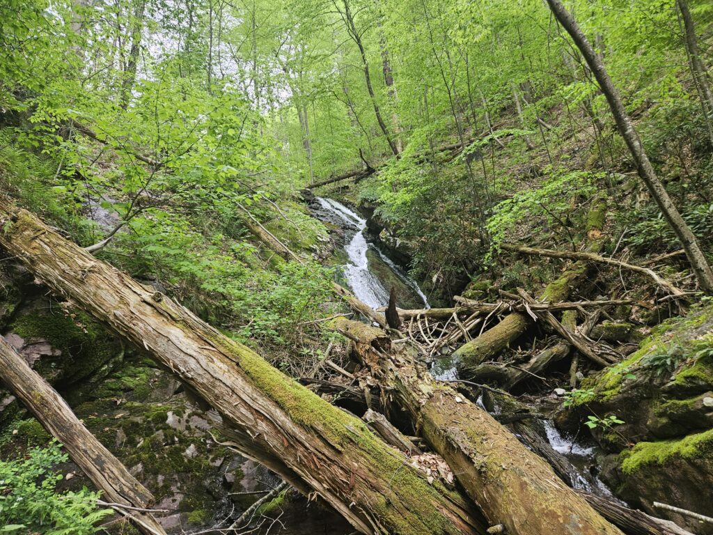 Unnamed Waterfall on Coppermine Brook 2 6 Unnamed Waterfall on Coppermine Brook 2 5