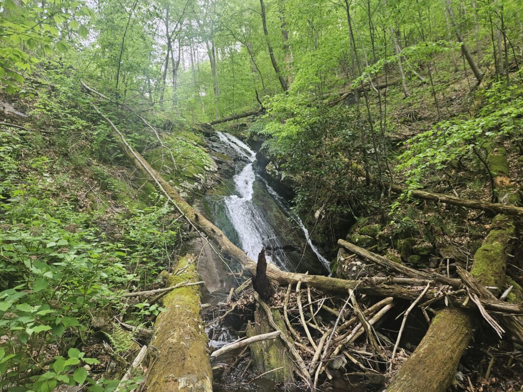 Unnamed Waterfall on Coppermine Brook 2 8 Unnamed Waterfall on Coppermine Brook 2 7