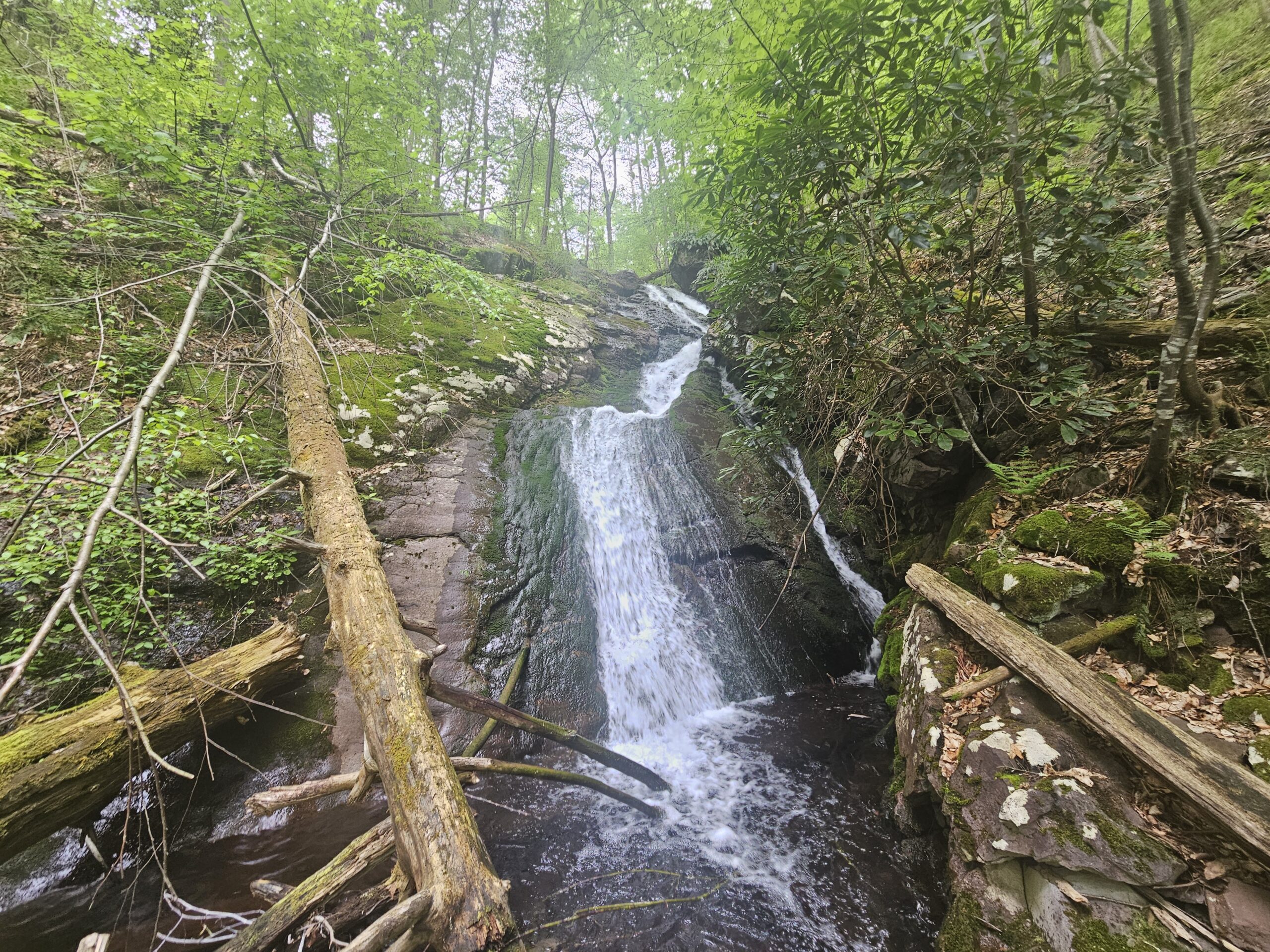 Unnamed Waterfall on Coppermine Brook 2 Unnamed Waterfall on Coppermine Brook 2 in the Delaware Water Gap