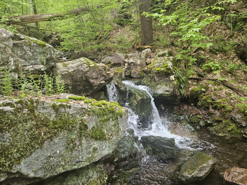 Unnamed Waterfall on Coppermine Brook 3 3