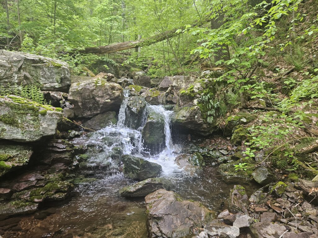 Unnamed Waterfall on Coppermine Brook 3 1