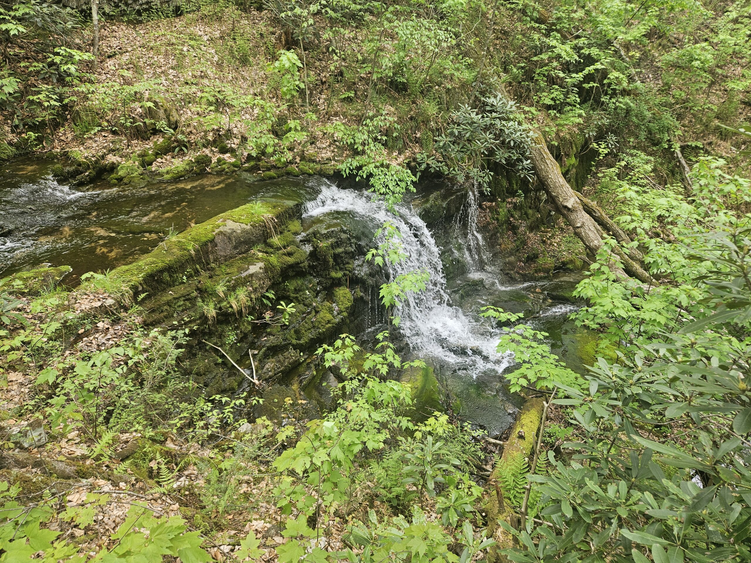 A waterfall on Coppermine Brook
