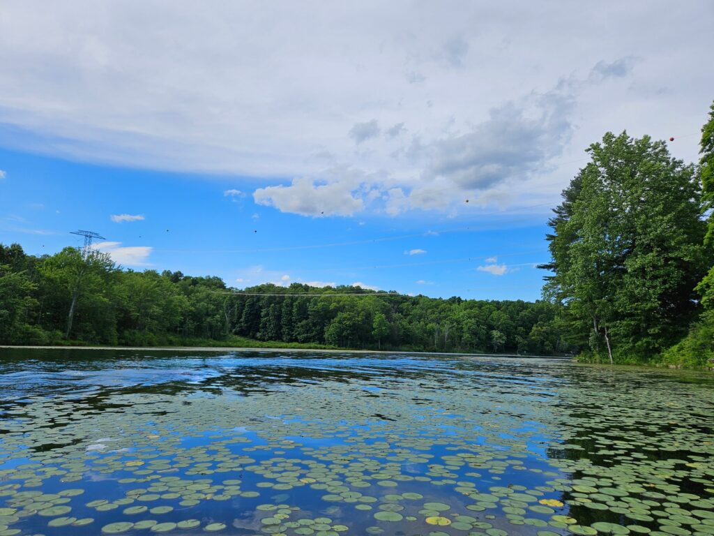 Powerlines above Lake Aeroflex at Kittatinny Valley State Park