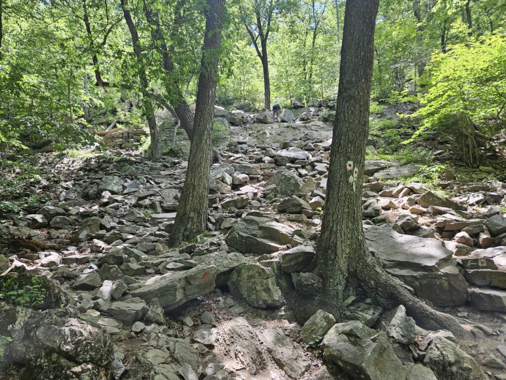Mount Tammany: Hiking New Jersey's Most Iconic Mountain 5
