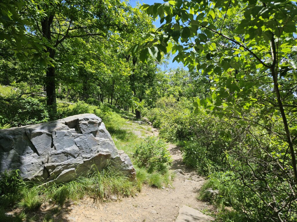 The Mount Tammany Fire Road at Worthington State Forest and the Delaware Water Gap