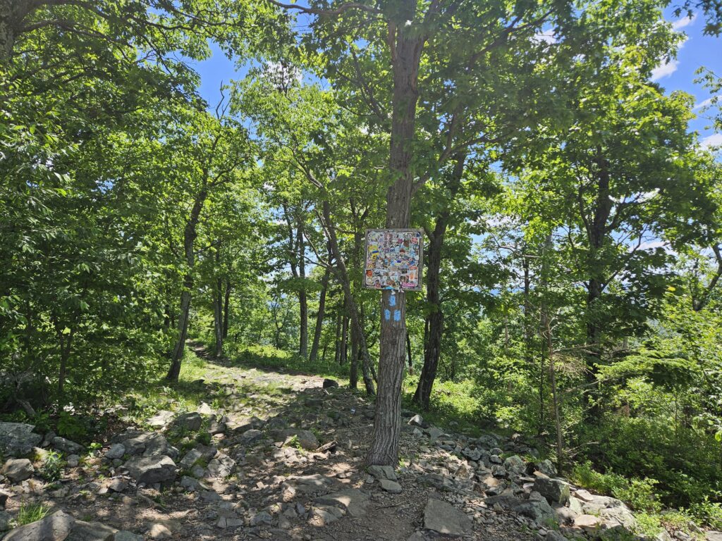 The beginning of the Mount Tammany Fire Road
