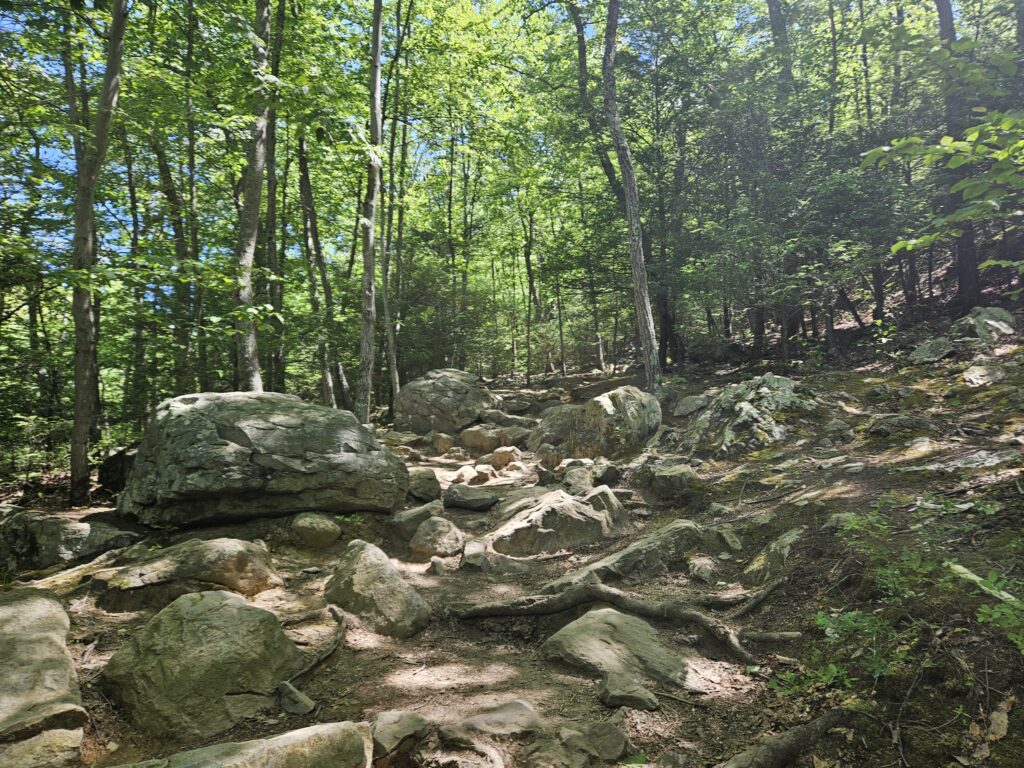 The rocky Mount Tammany Trail in Worthington State Forest and the Delaware Water Gap