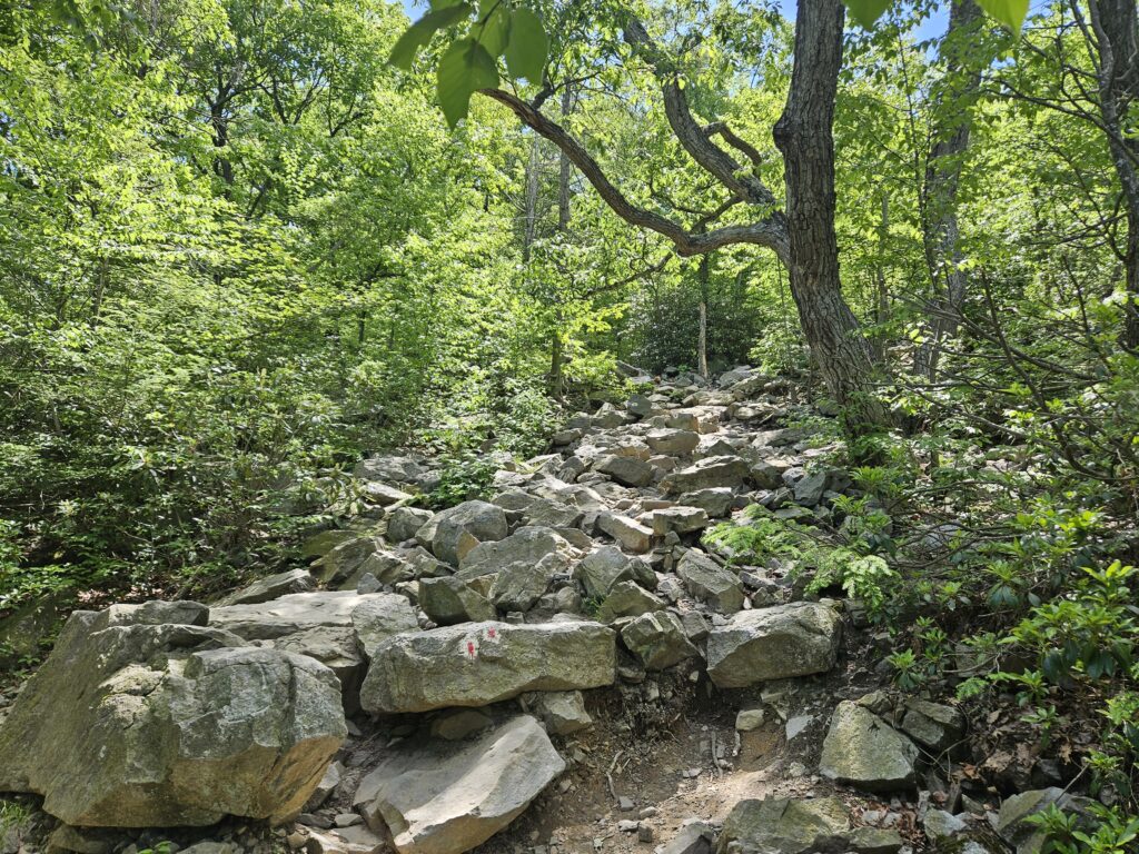 The rocky Mount Tammany Trail in Worthington State Forest and the Delaware Water Gap