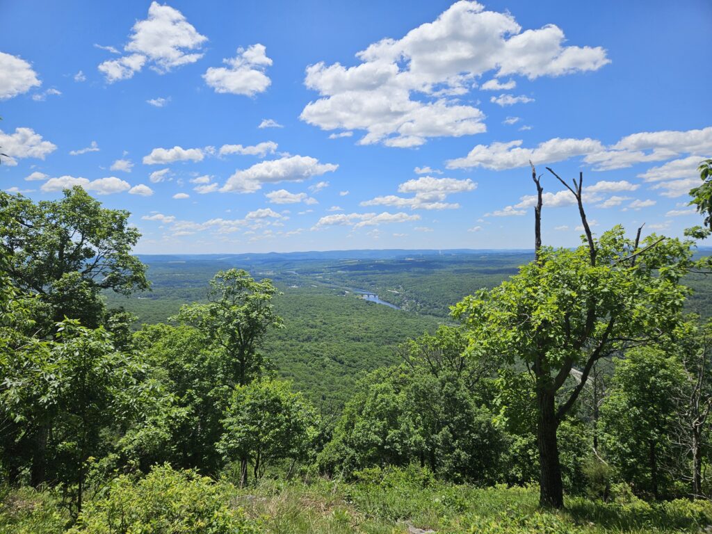 The view of the Delaware River Viaduct from Mount Tammany