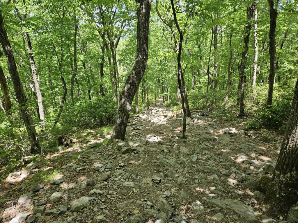 The rocky Pahaquarry Trail Trail in Worthington State Forest and the Delaware Water Gap