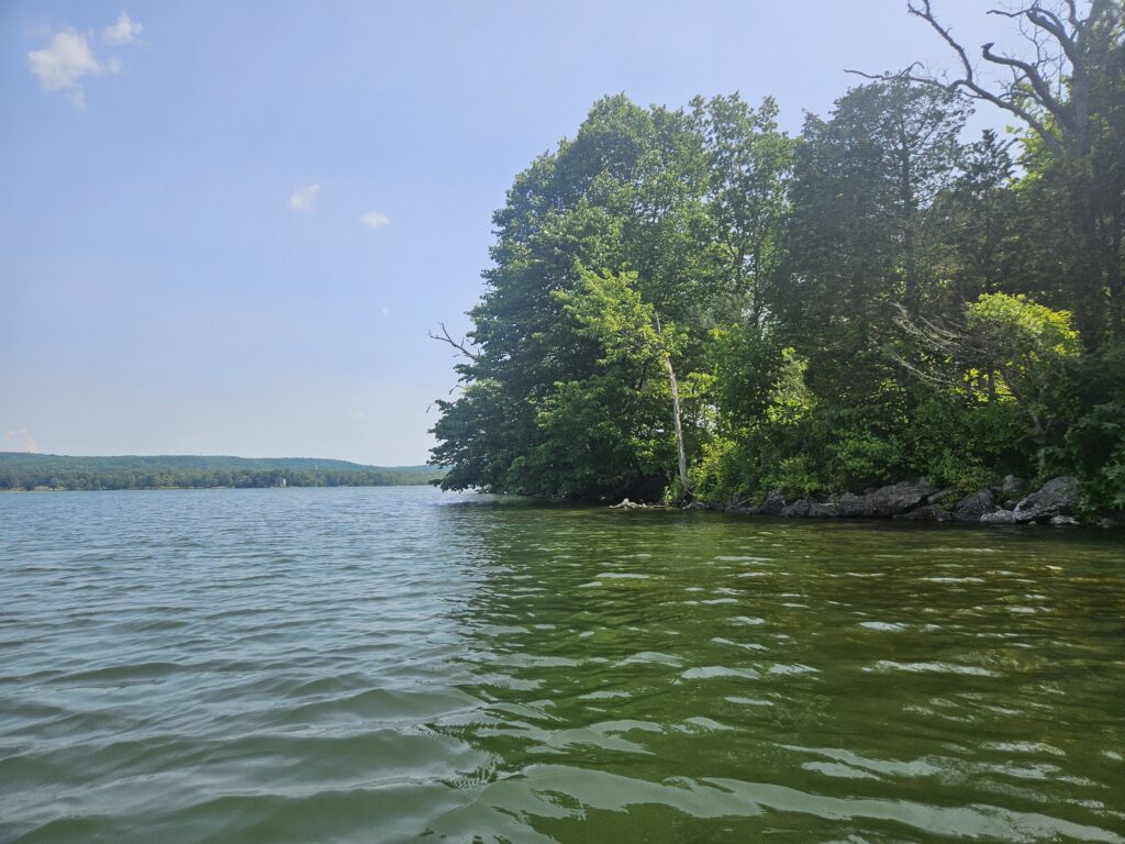 Dove Island at Swartswood Lake
