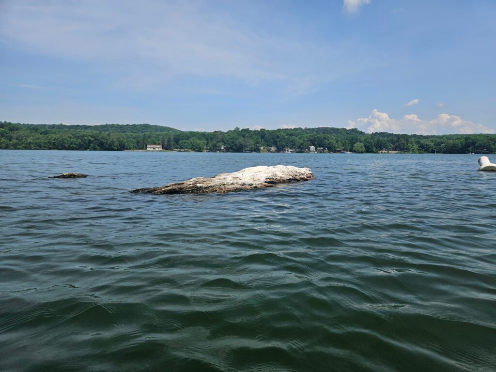 A rock covering in poop at Swartswood Lake