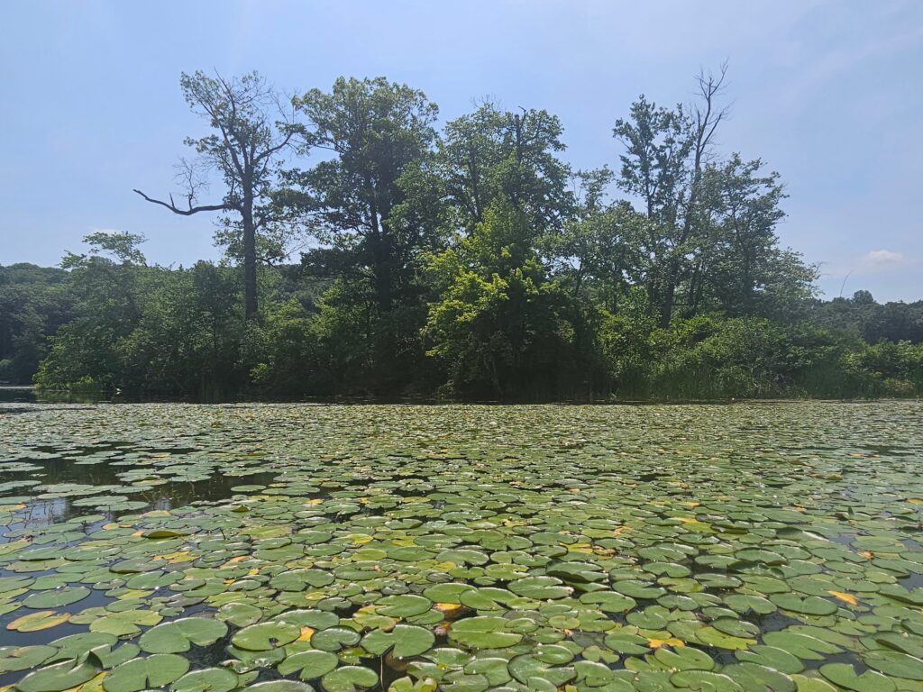 Snake Island on Swartswood Lake