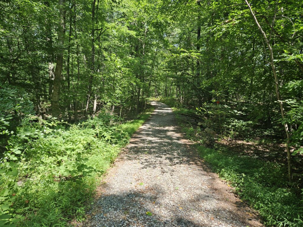 An access road at Apshawa Preserve