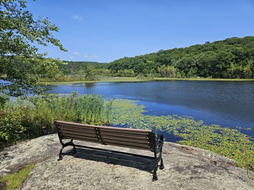 A bench and a view of the Butler Reservoir at Apshawa Preserve