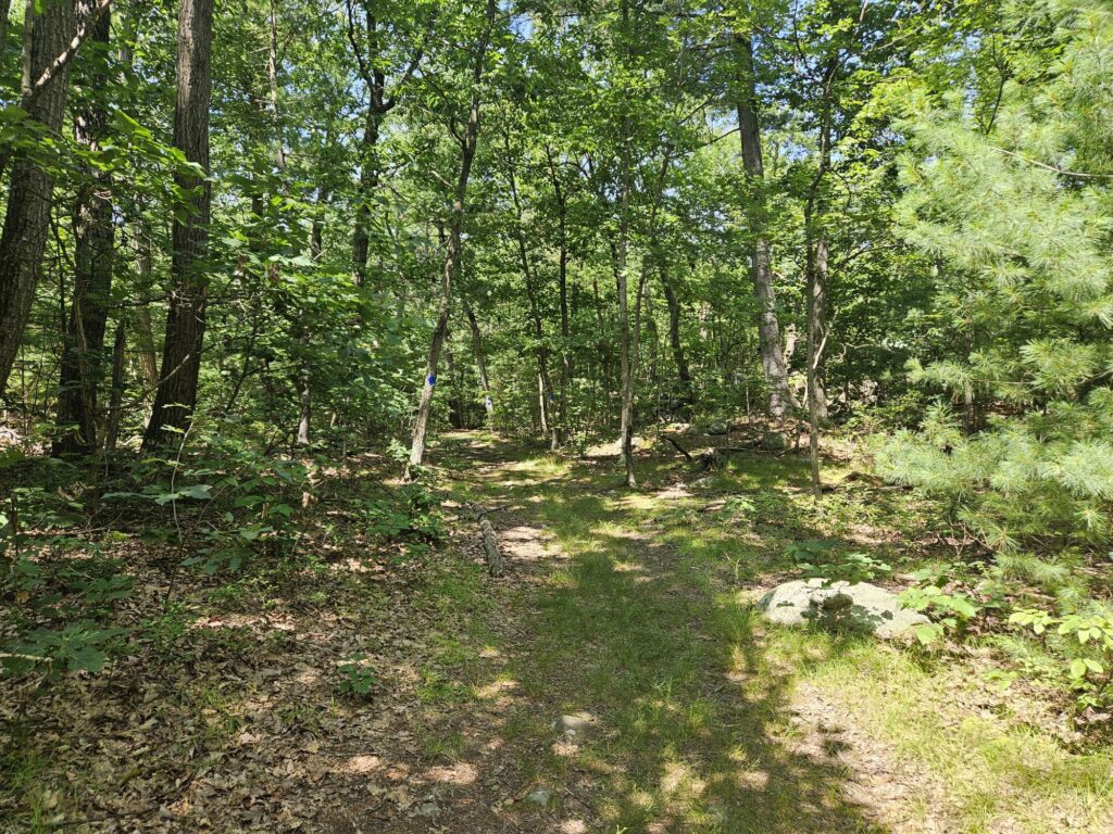 The blue trail at Apshawa Preserve
