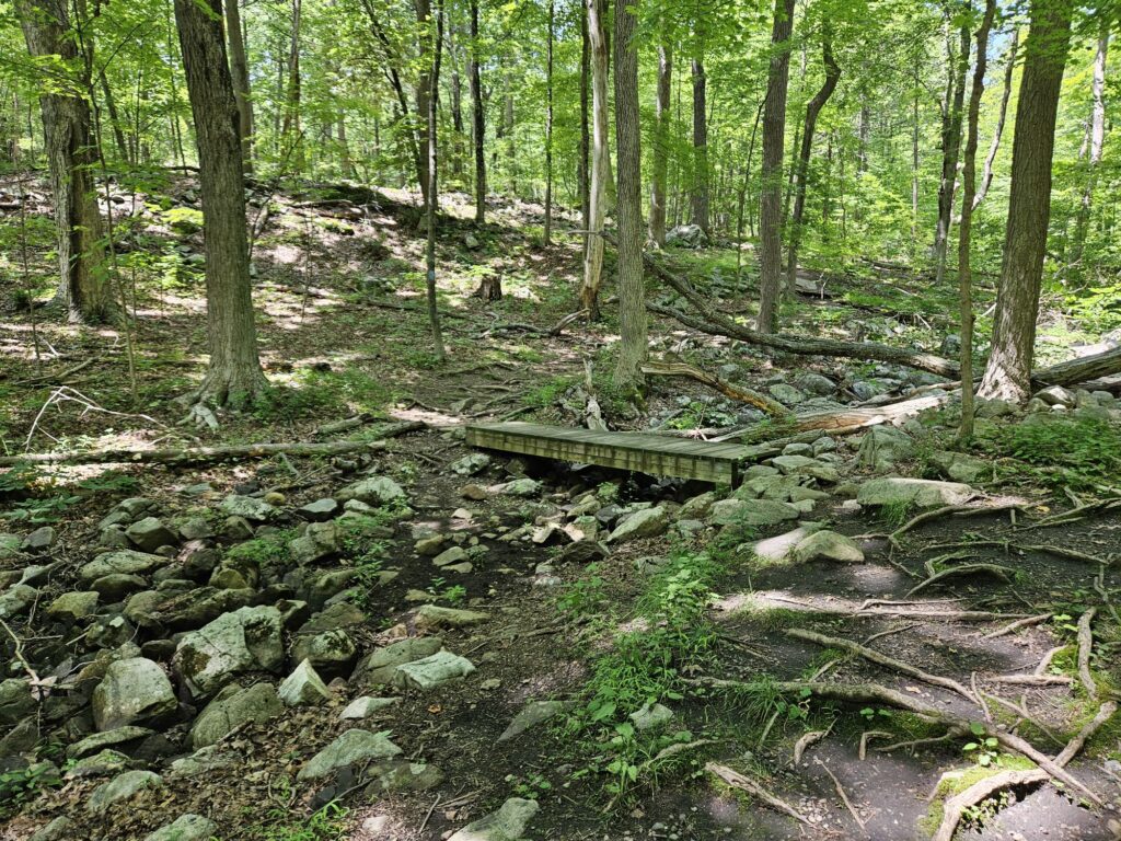 A bridge over a dry brook on the blue trail at Apshawa Preserve
