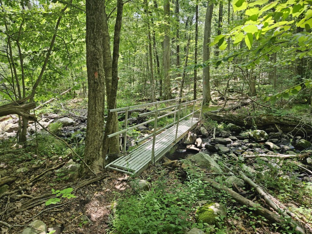 A bridge on a hiking trail at Apshawa Preserve