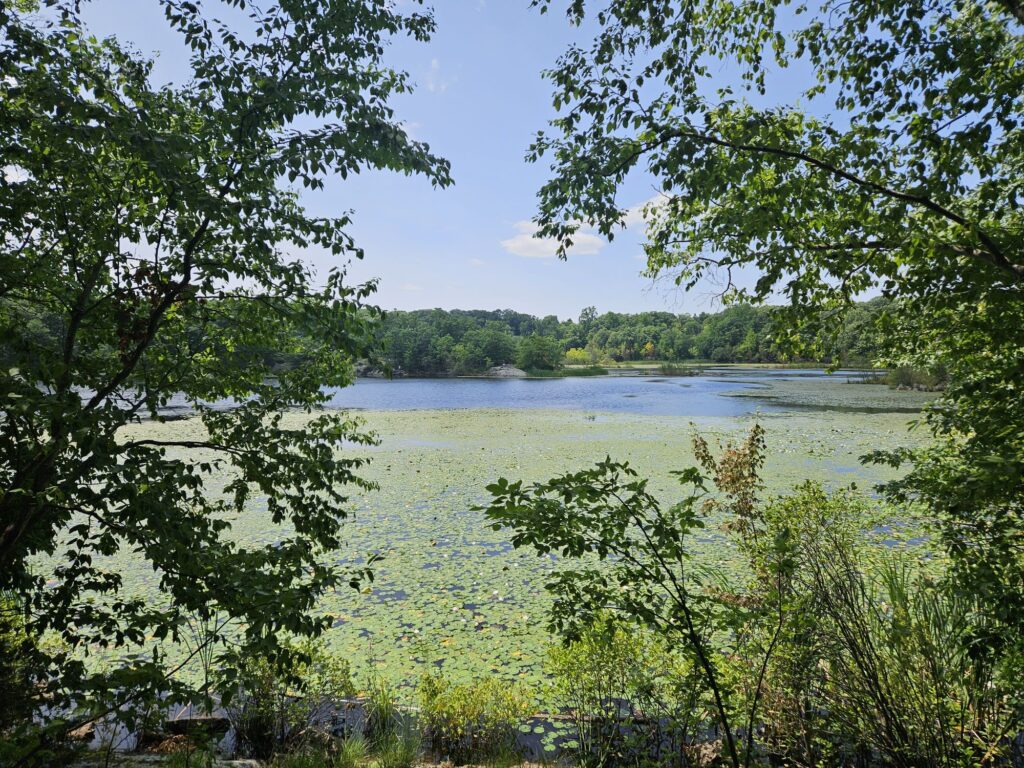 A view of the Butler Reservoir at Apshawa Preserve