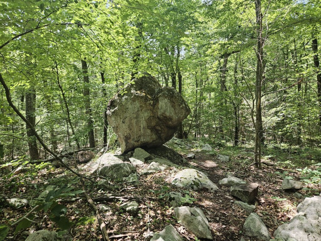 A glacial erratic at Apshawa Preserve