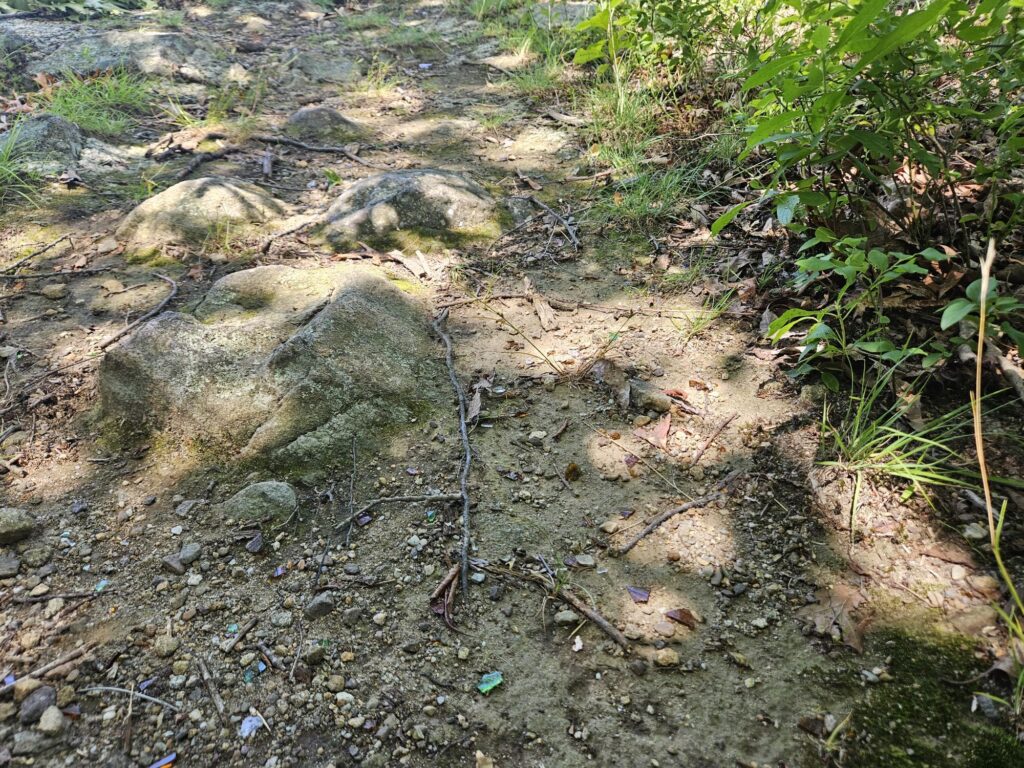 An image of glass at Apshawa Preserve