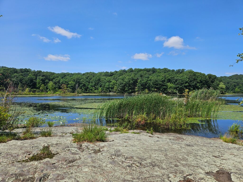 A scenic view of the Kathleen M. Carin Reservoir at Apshawa Preserve