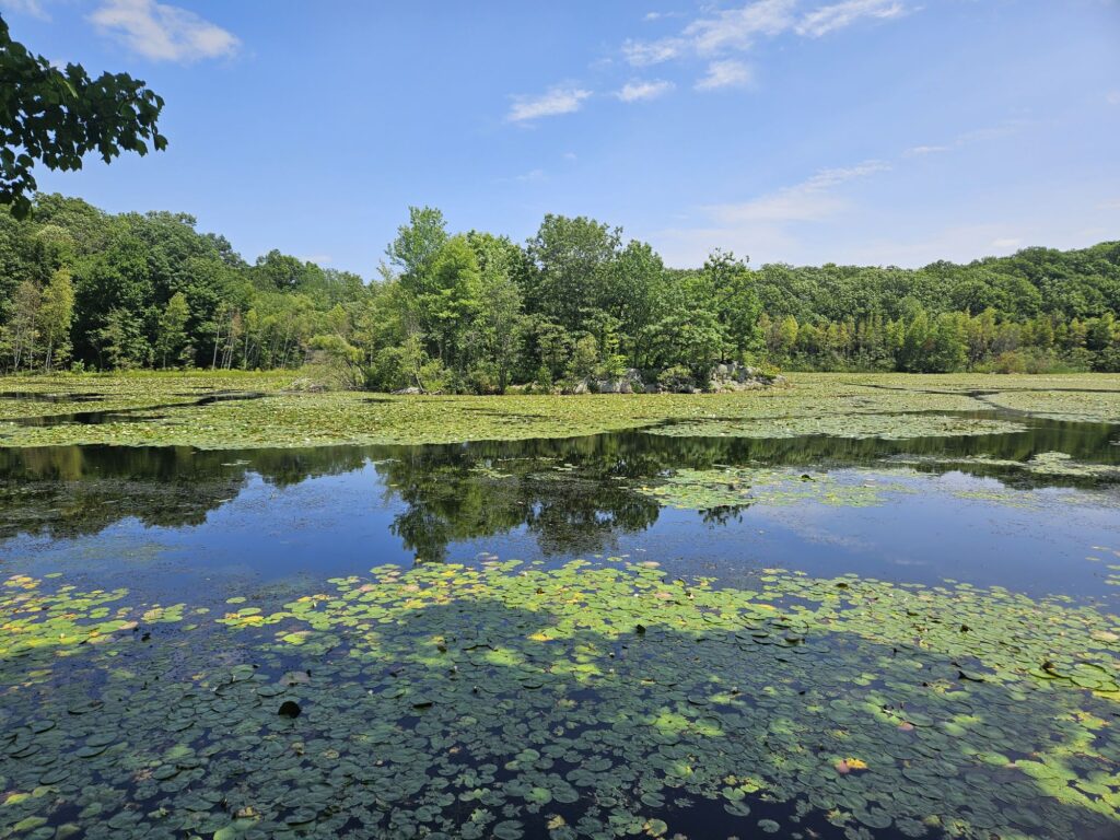A view of the Butler Reservoir at Apshawa Preserve