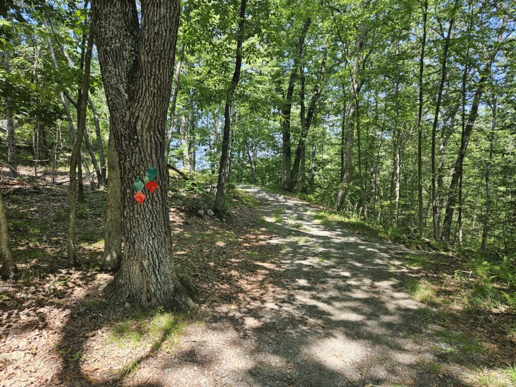 An image of the Red and Green Trails at Apshawa Preserve