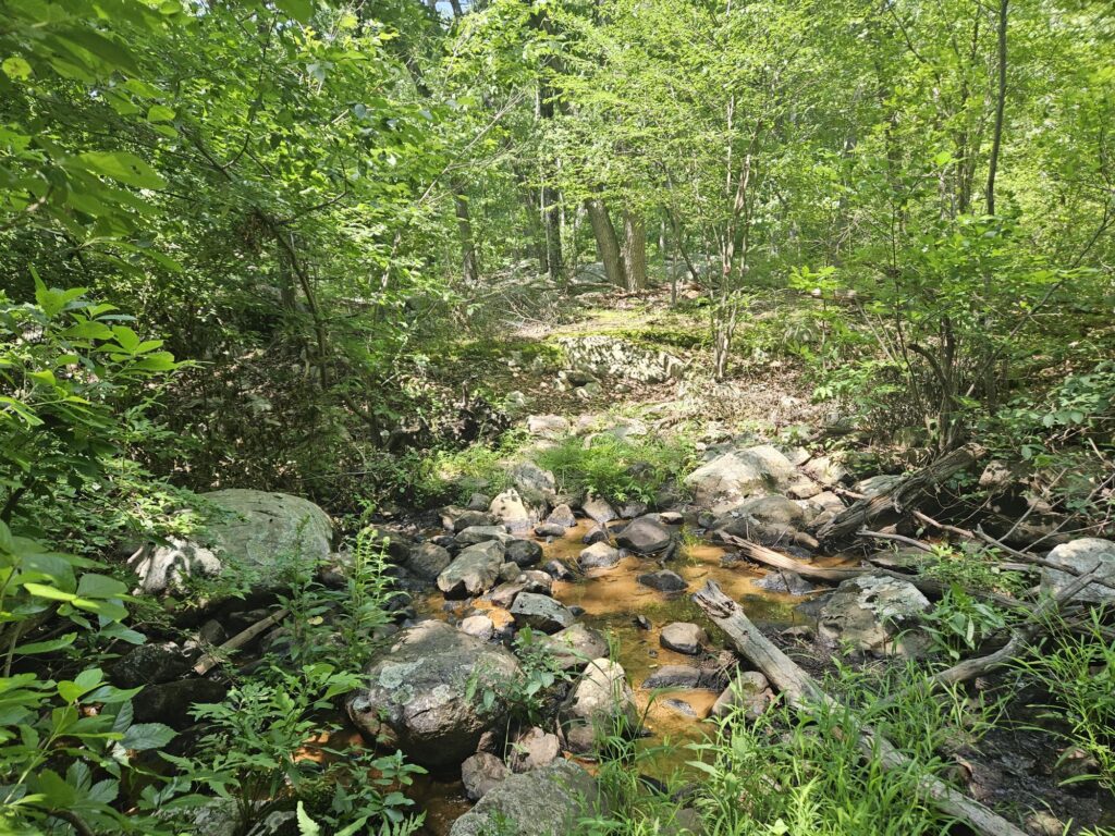 A water crossing on the Red Trail at Apshawa Preserve