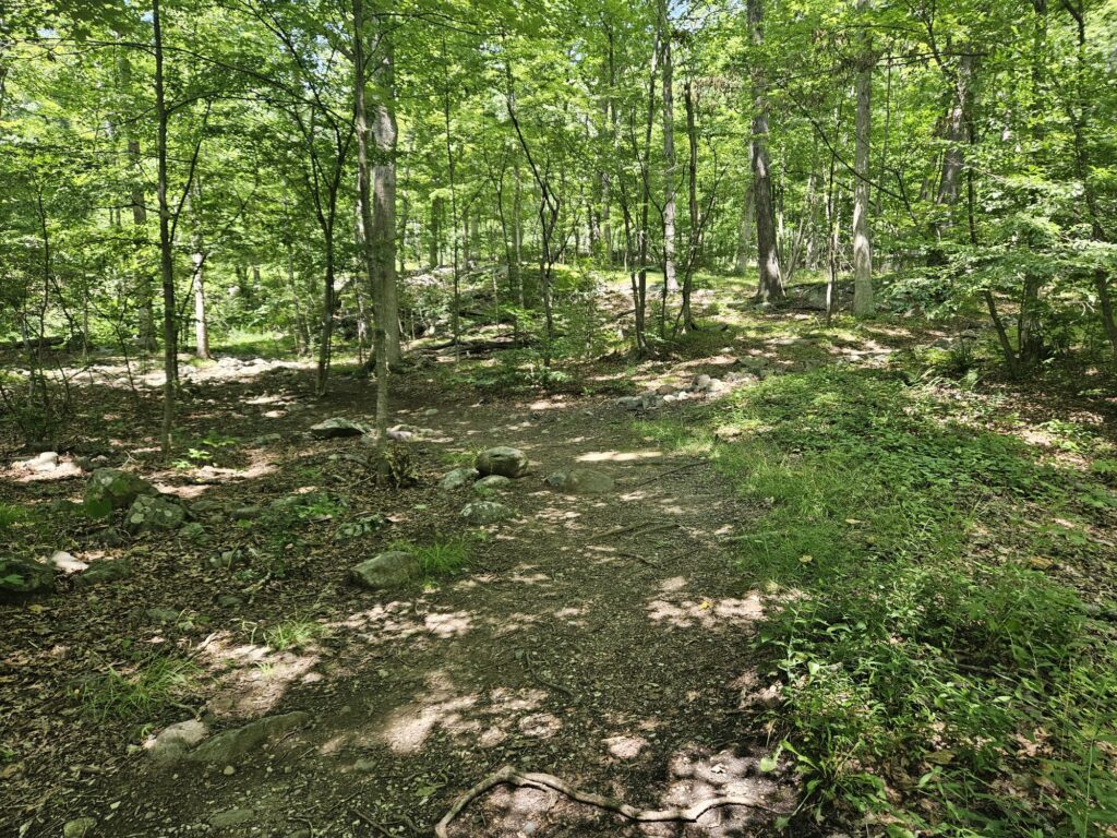 The blue trail at Apshawa Preserve