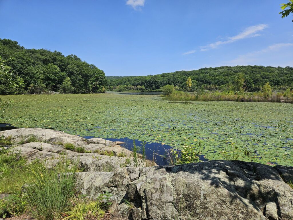 A scenic view of the Kathleen M. Carin Reservoir at Apshawa Preserve