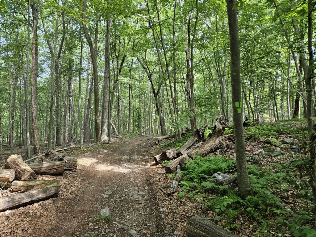 The end of the Green Trail at Farny State Park