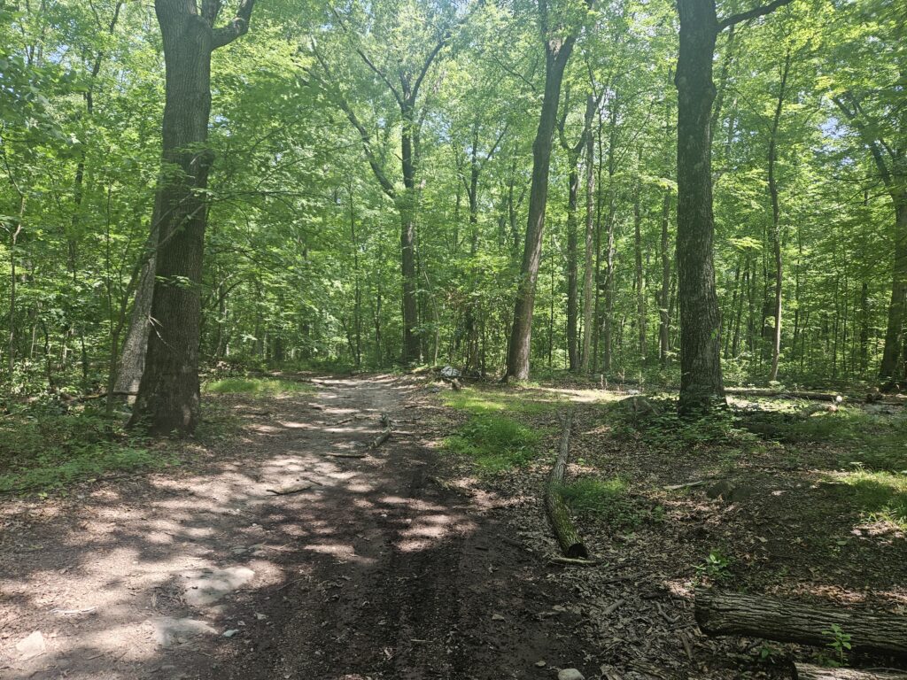 A trail at Farny State Park