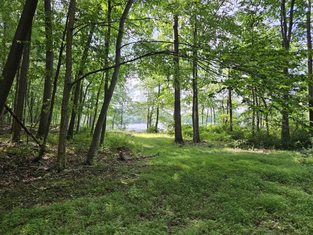 A trail to Splitrock Reservoir at Farny State Park and Wildcat Ridge