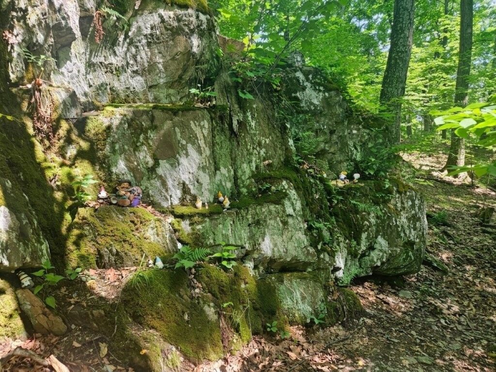 Exploring the Family-Friendly Gnome Hollow Preserve 14