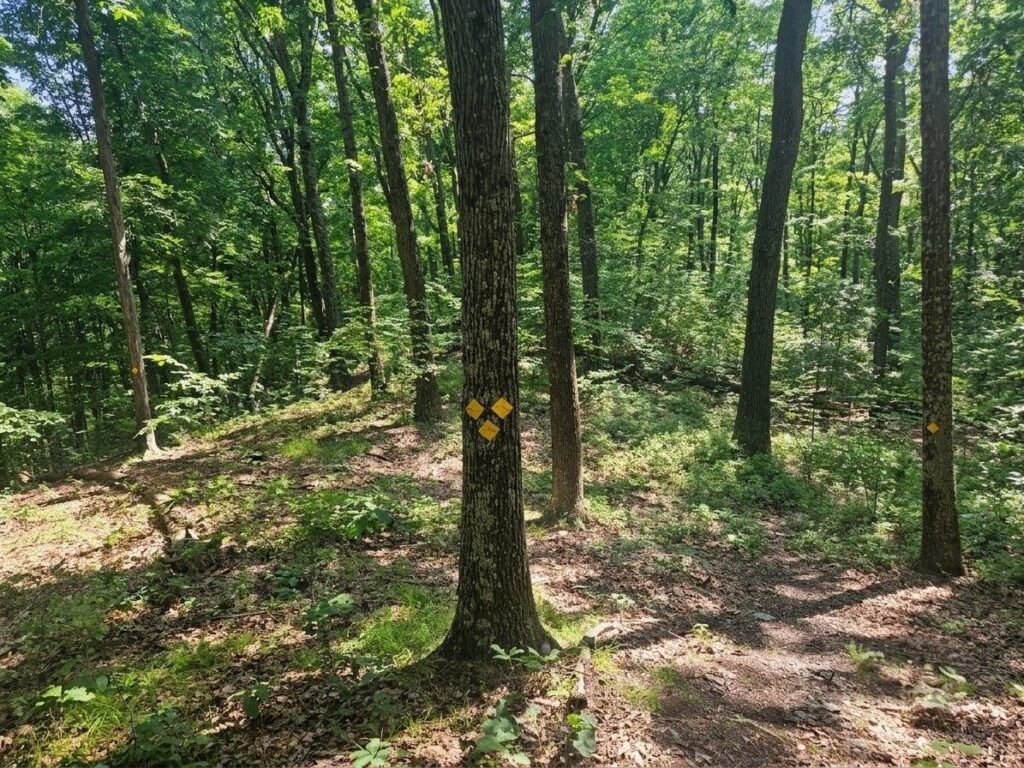 Exploring the Family-Friendly Gnome Hollow Preserve 3