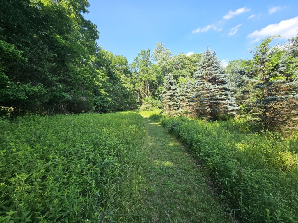A scenic trail at Gnome Hollow Preserve