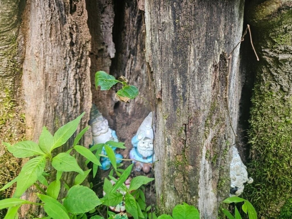 Exploring the Family-Friendly Gnome Hollow Preserve 8